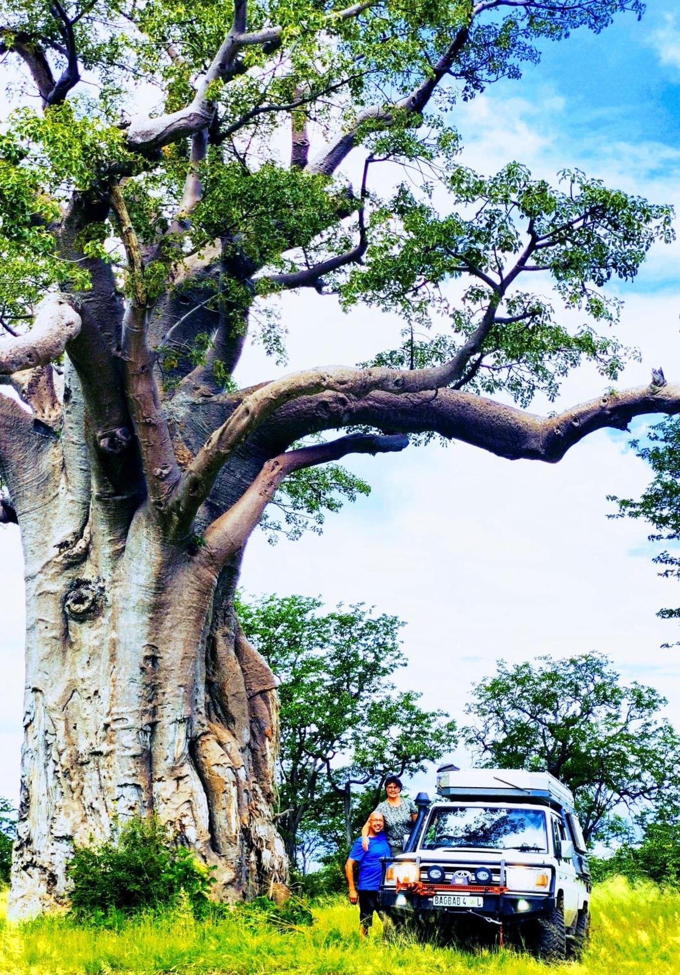 The Baobab Bush Lodge And Villa Hoedspruit Eksteriør bilde